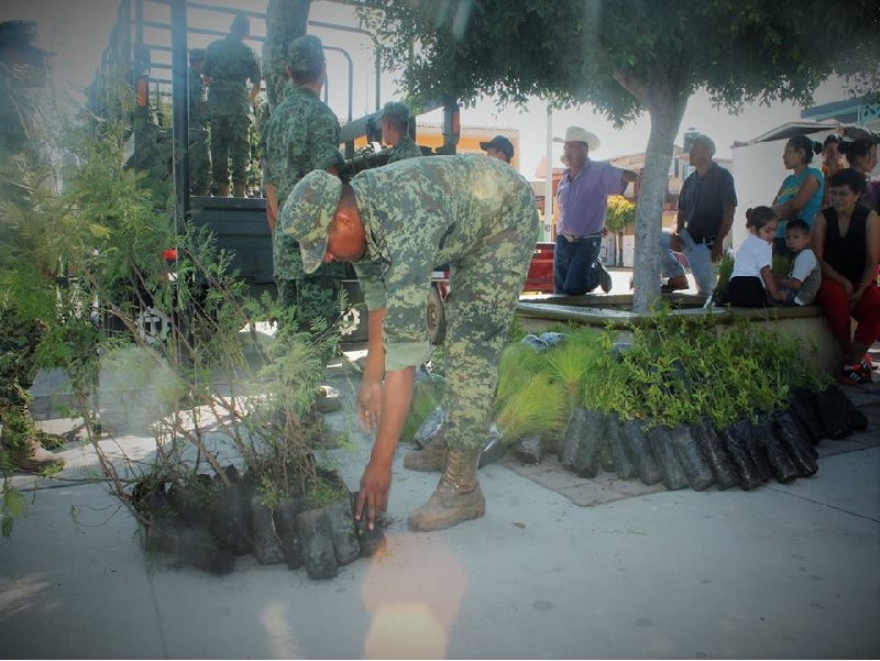 Militares de Jamay donan árboles.
