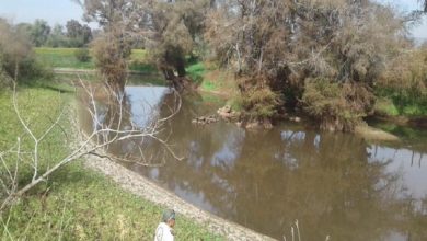 Inspección sobre todo el cauce de río Zula.