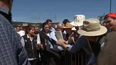 Solicitan a AMLO. Foto: Captura video Gobierno de México.