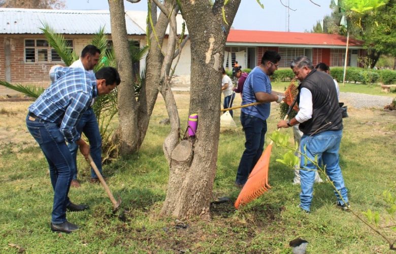 Jamay limpio. Foto: Cortesía.