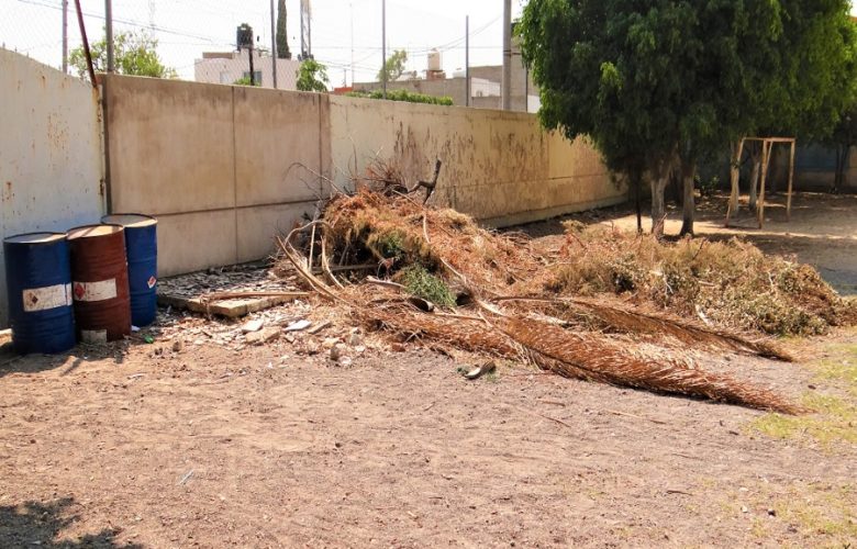 Sin educación medioambiental. Foto: Atemi García.