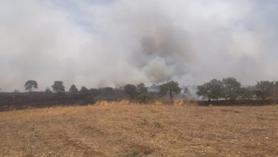 Incendios ANP. Foto: Bomberos Poncitlán.
