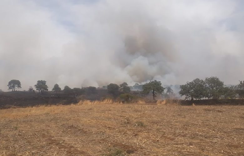 Incendios ANP. Foto: Bomberos Poncitlán.