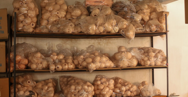 Partes de muñecas fueron guardados cuando inició el paro de actividades por la pandemia por Covid-19.