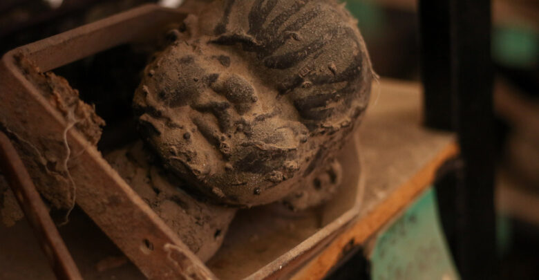 La fábrica posee más de mil moldes de muñecas; todos tienen rasgos distintos y un nombre con el que son identificados.