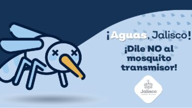 Campaña contra el dengue. Foto: Gobierno de Jalisco.