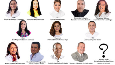 Candidatos diputación local Distrito 15.