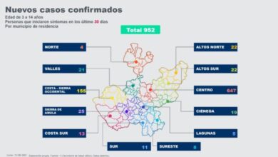 Gráfico elaborado por el Gobierno de Jalisco.