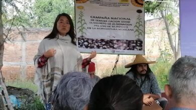 Taller de “Cromatografía de Tierras”. Foto: Facebook.