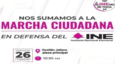 Marcha a favor del INE. Foto: Facebook.