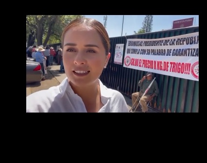 Laura Sánchez, diputada federal por el Distrito XV. Foto: Captura de video de Facebook.