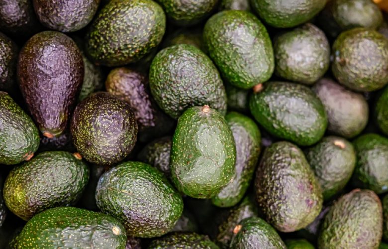 Busca Jalisco Récord Guinness de guacamole. Foto: Cortesía.
