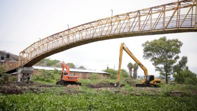 Ocotlán: Retiran lirio y maleza del Río Santiago. Foto: Facebook.