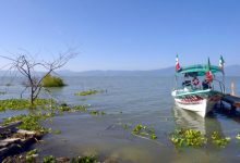 Debatirán en CUChapala acerca del recuperamiento del Lago