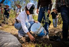 Planta Ocotlán 500 árboles en la Sierra Cóndiro-Canales. Foto: Cortesía.