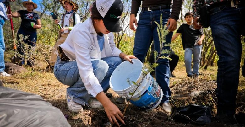 Planta Ocotlán 500 árboles en la Sierra Cóndiro-Canales. Foto: Cortesía.